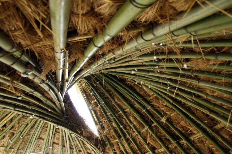 Bamboo structure project in Iran by Pouya Khazaeli Parsa  3 