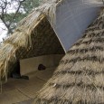 Bamboo structure project in Iran by Pouya Khazaeli Parsa  5 