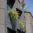 Shimigiah Residential Apartment Double Side Shiraz Ashari Architects  12 