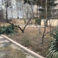 Villa in Elahiyeh by Houshang Seyhoun CAOI 14 Villa in Elahiyeh by Houshang Seyhoun CAOI 14