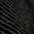 Lafayette148 in China by Studio for Architecture Mehrdad Hadighi  5 