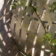 Steel Dome Pavilion at Amirkabir University of Technology, پاویون تحقیقاتی گنبد فولادی در دانشگاه امیرکبیر