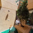 Malek Residential  building Isfahan Architecture Piramun Architectural Office  17 
