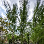 Columnless canopy in Tehran by Olgoo Architecture Office Iranian Architecture  26 