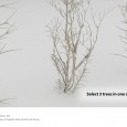 خانه درختی در رویان استان مازندران | شرکت طراحی و معماری نقش خاک
