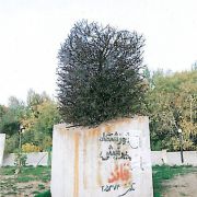 باغ بلند شیراز,مهرداد ایروانیان باغ بلند شیراز,مهرداد ایروانیان