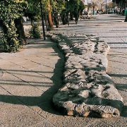 شهرداری شیراز,مهرداد ایروانیان