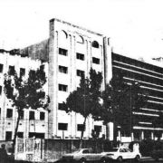 19 19