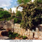 park jamshidieh tehran pasban hazrat  31  park jamshidieh tehran pasban hazrat  31