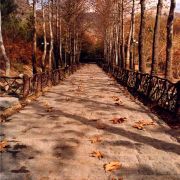 park jamshidieh tehran pasban hazrat  3 