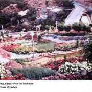 park jamshidieh tehran pasban hazrat  53  park jamshidieh tehran pasban hazrat  53