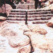 park jamshidieh tehran pasban hazrat  55  park jamshidieh tehran pasban hazrat  55