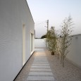 mint house Kashan White on white studio CAOI  11 