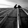NIPCO Factory in Iran by Arash Mozafari and Mehrdad Golmohamadi  26 