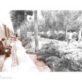 Sekonj Garden in Shiraz  12 
