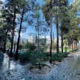 Sekonj Garden in Shiraz Park Landscape Design  23 
