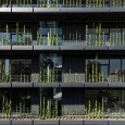 5 1 residential building RooyDaad Architects CAOI  5 