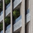 Sideway Apartment Shiraz Ashari Architects  7 