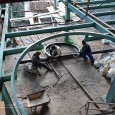 Renovation and reconstruction process A House Looking to A Cedrus Tree  1 