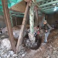 Renovation and reconstruction process A House Looking to A Cedrus Tree  2 