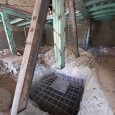 Renovation and reconstruction process A House Looking to A Cedrus Tree  4 