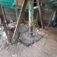 Renovation and reconstruction process A House Looking to A Cedrus Tree  5 