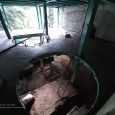 Renovation and reconstruction process A House Looking to A Cedrus Tree  7 