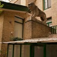 iranian architect,iranain-architect,contemporary architectre of iran,معماری معاصر ایران,معمار ایرانی,معماری ایران,iranian architecture,Parviz Tanavoli&#039;s House,parviz tanavoli,Kamran Diba,Tehran,Iran,1968, ,کامران دیبا,خانه پرویز تناولی,1347,تهران,ایر