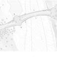 Tabiat Bridge, Leila Araghian, پل طبیعت, لیلا عراقیان | www.caoi.ir