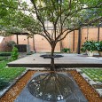 Pargar Kaveh Renovation 19