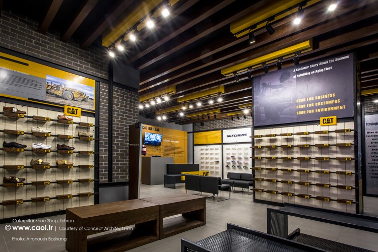 Cat shoes store near me shop