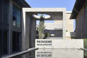 Payagene accelerator Co.