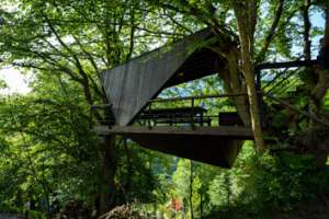 Tree House | Architecture of Iran