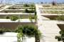 Green House in Tehran | Architecture of Iran